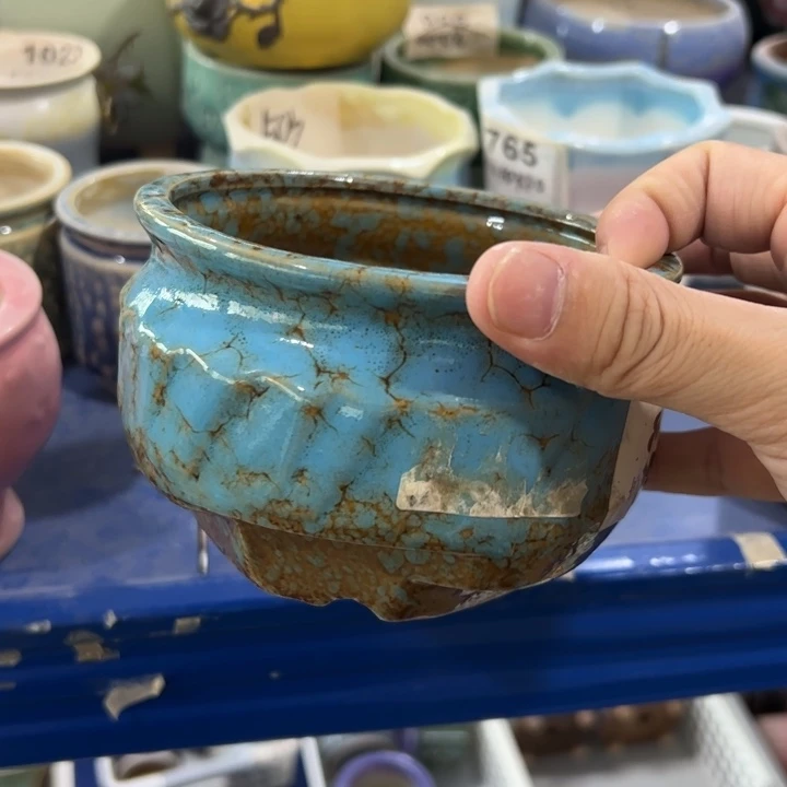 【闪购商品】陶瓷20CM以下@@315