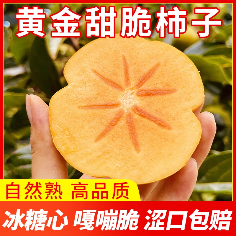 【小王哥优选】云南甜脆柿子特大果巧克力香甜新鲜采摘3斤5斤包邮