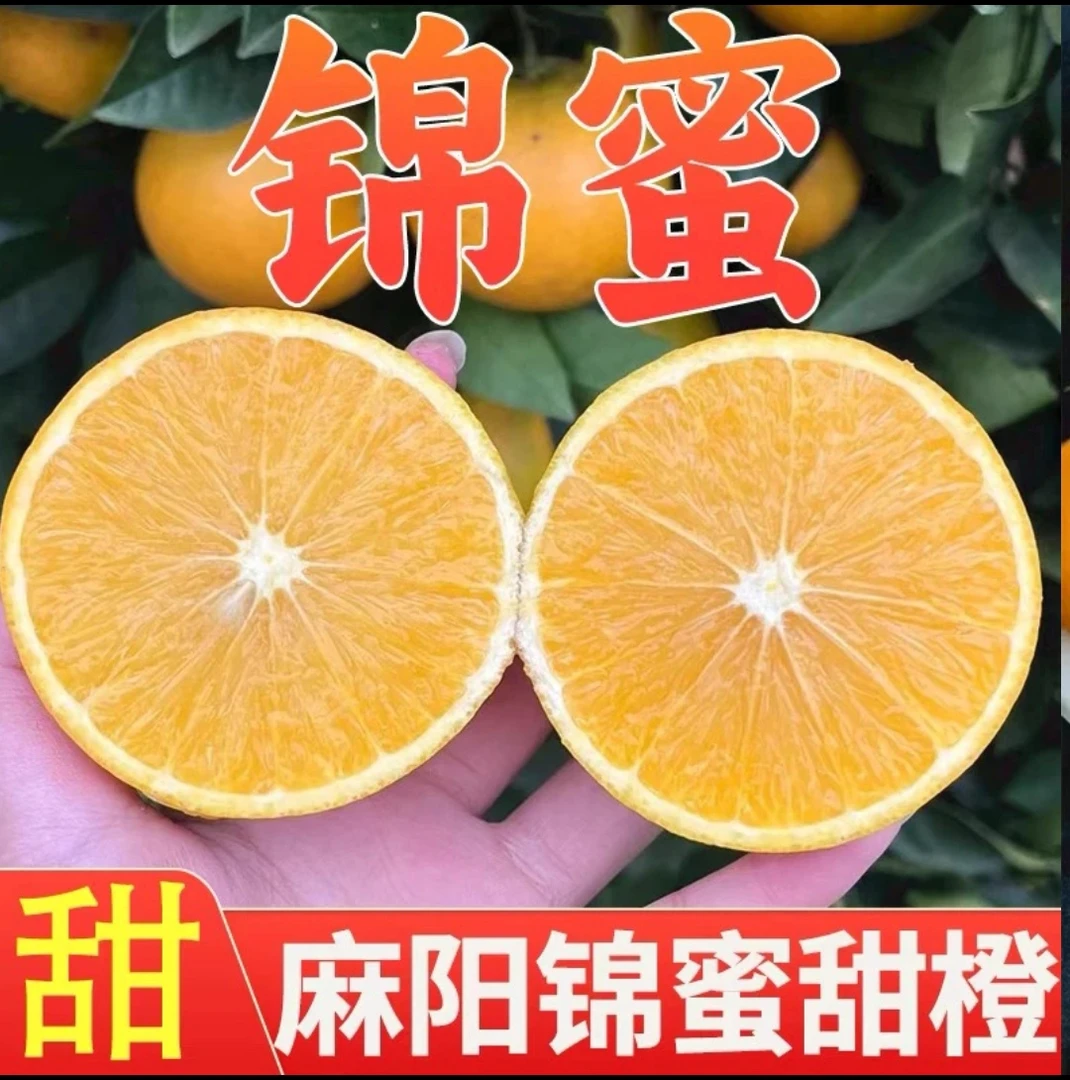 【麻阳锦蜜冰糖橙】纯甜无酸果园现摘新鲜发货