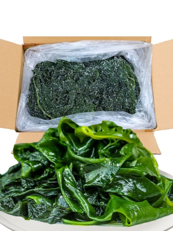 五斤盐渍裙带菜凉拌3斤多规格批发裙带菜鲜嫩裙带菜火锅食材配菜
