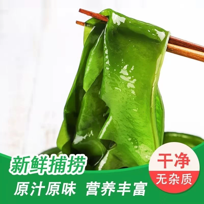 裙带菜凉拌菜裙带菜盐渍裙带菜麻辣烫火锅五斤多规格批发新鲜食用