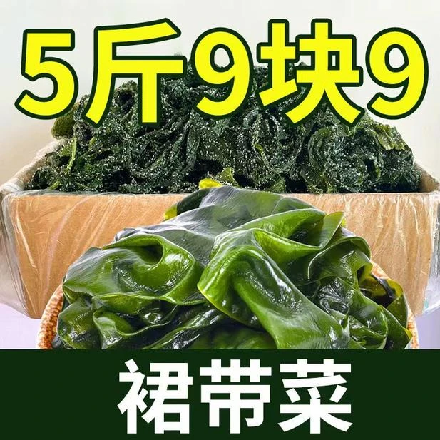 【太便宜了】盐渍裙带菜整箱新鲜炒菜营养天然海产品鲜嫩新鲜炒菜