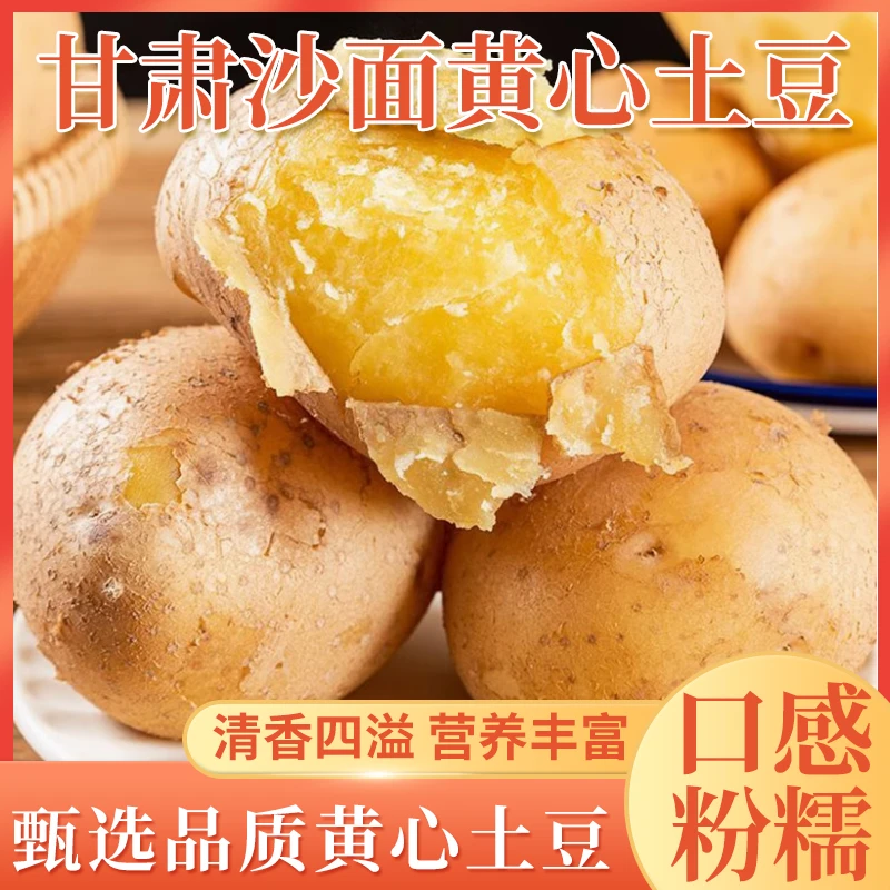 新鲜甘肃黄皮黄心土豆粉面洋芋马铃薯