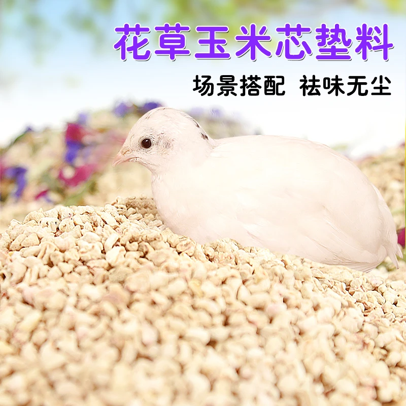 芦丁鸡垫料玉米芯发酵床除臭核桃砂用品小仓鼠鹌鹑饲养造景用品