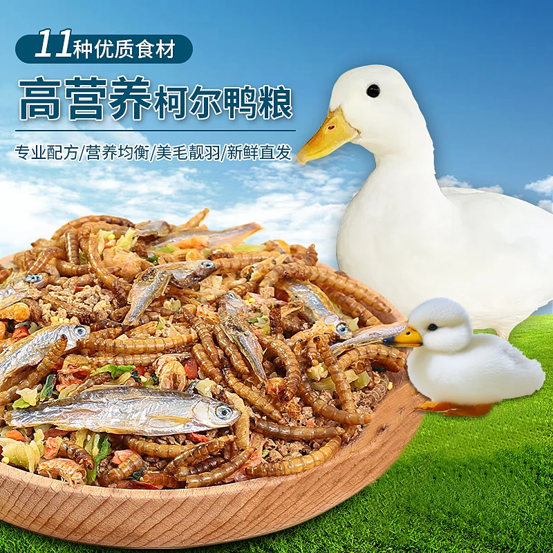柯尔鸭成年产蛋粮面包虫干鱼干虾干鸭子营养均衡开口粮可达鸭
