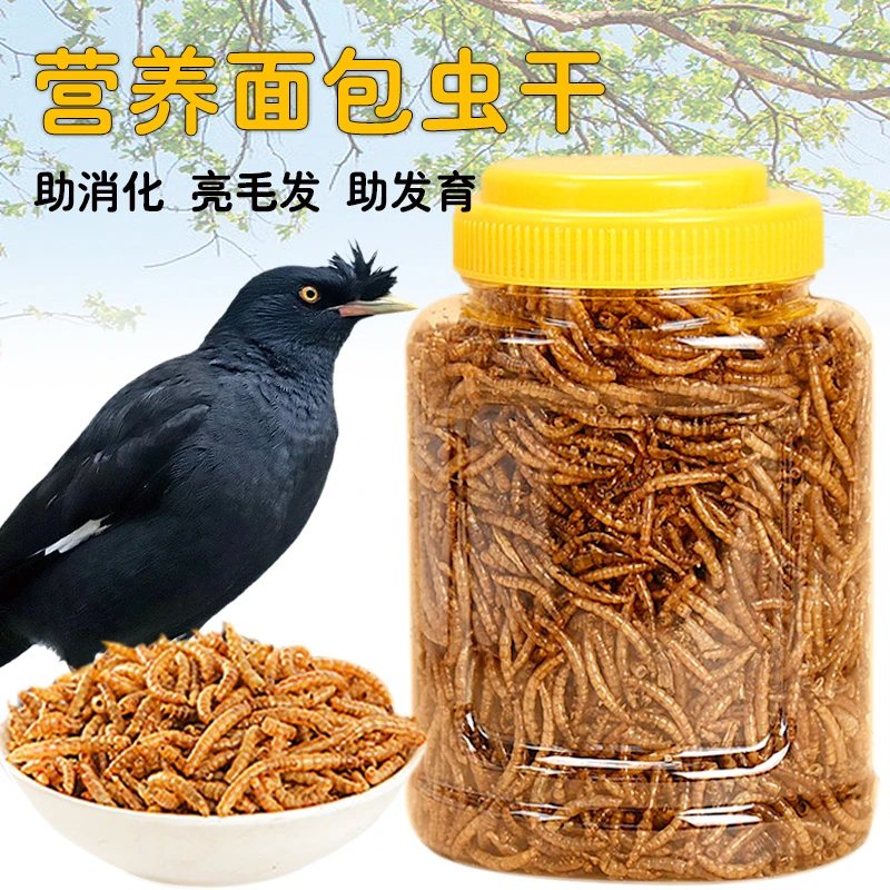 八哥面包虫干鸟食饲料鹦鹉八哥专用零食豪华套餐面包虫鸟粮用品