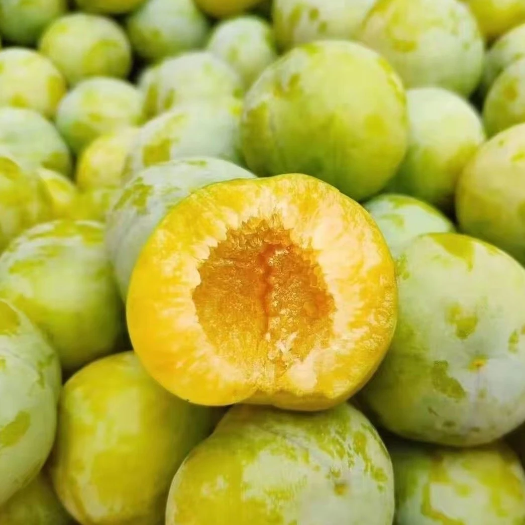 青脆李四川特产纯甜李子青脆李李子脱骨李子新鲜水果大果包邮5斤