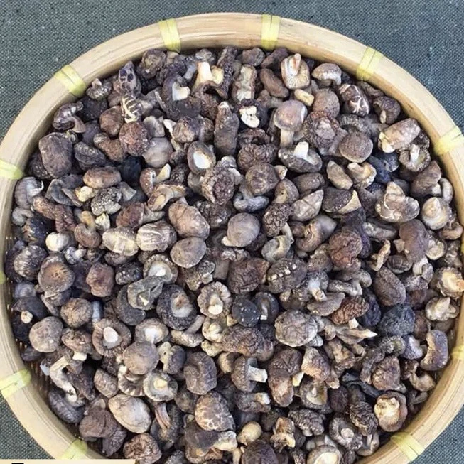 XL(野生香菇)净含量250g