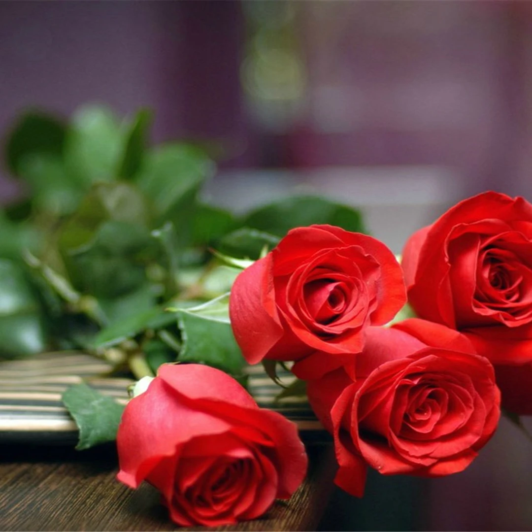 十位数到手1朵玫瑰花