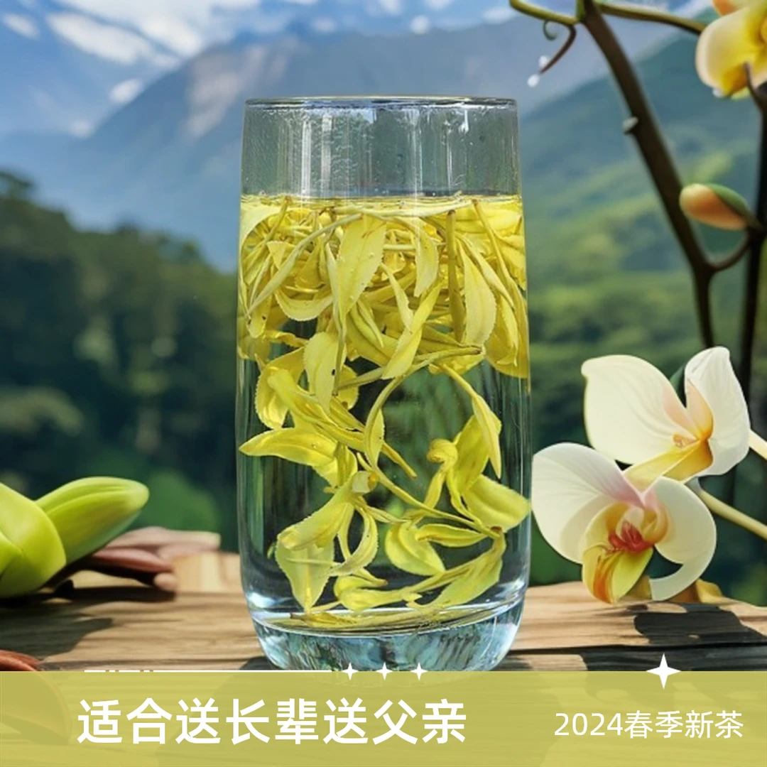 2025春季新茶黄金芽茶高山云雾茶送长辈专用送礼黄茶