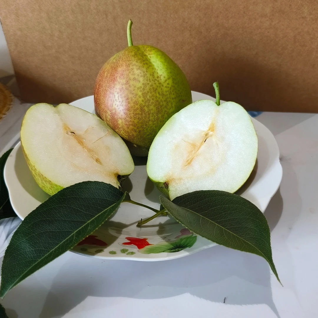 正宗阳信媚梨七号梨梨子皮薄清甜香甜可口产地直发整箱精品梨香梨