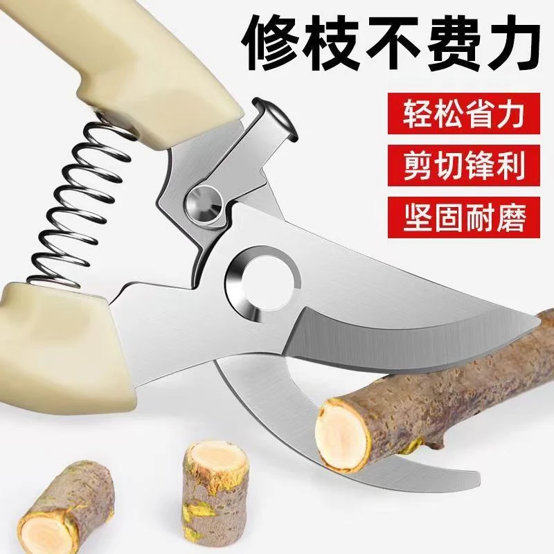 剪枝果树修枝剪刀园艺园林修花枝剪家用强力剪园艺剪刀修花枝剪