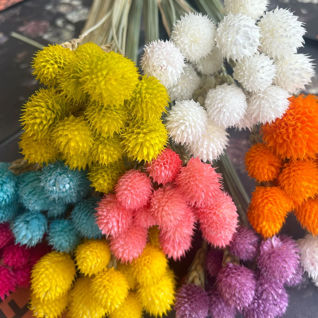 直播间连麦补差价专用 永生花材花头配草