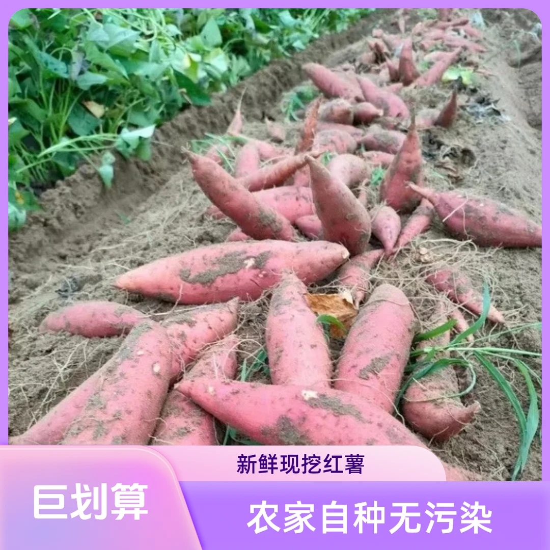 超甜正宗广西玉林沙地西瓜红蜜薯糖心甜流油番薯新鲜地瓜黄心红薯