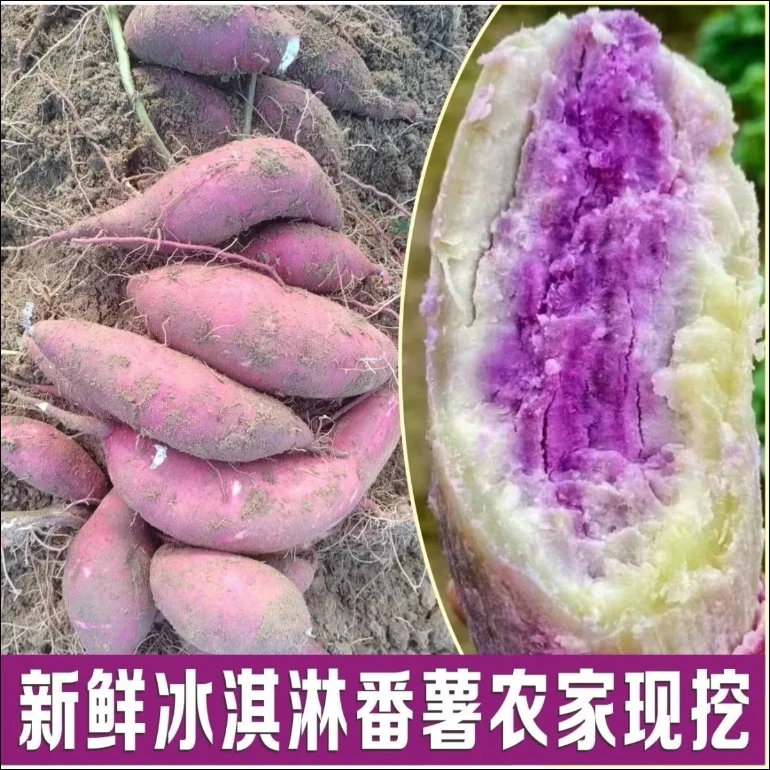 【精品冰淇淋红薯】正宗沙地红薯花心番薯新鲜现挖现发一点红地瓜