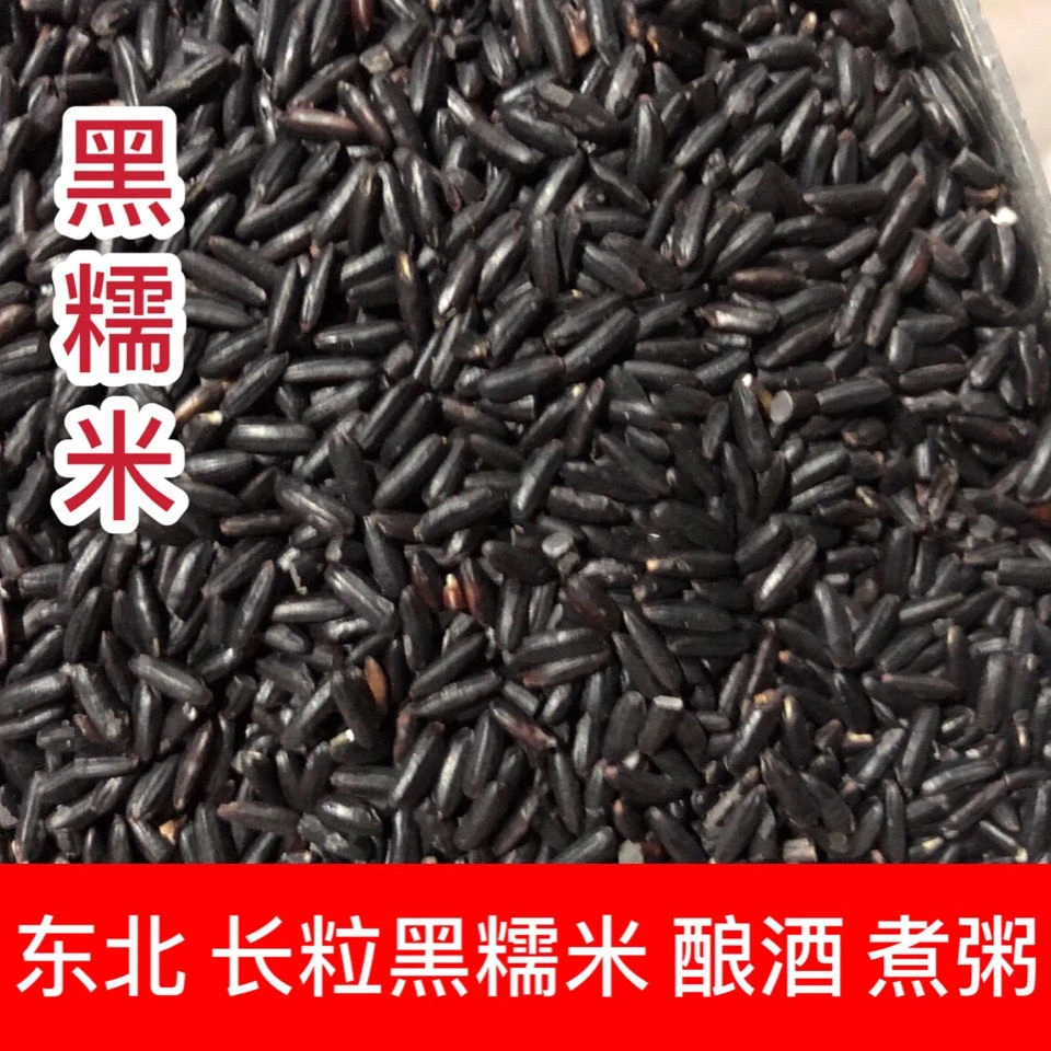 正宗东北农家黑糯米新米血糯米包粽子五谷杂粮甜月子酒营养酿酒