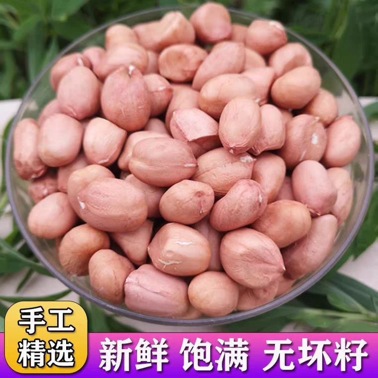 当季新花生米新货粉皮新鲜大颗粒生花生米无壳煲汤白沙花生仁