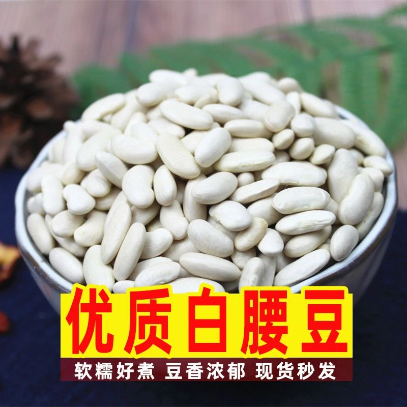 白腰豆云南农家自产白芸豆白腰豆煲汤小白豆豆类杂粮新米包邮饱满