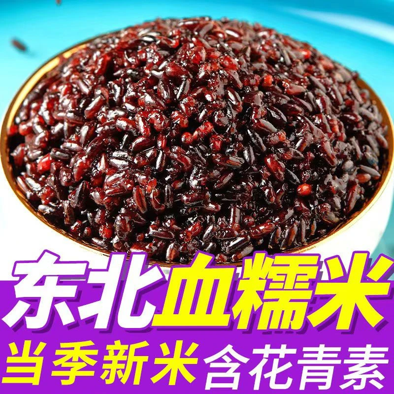东北血糯米新米黑糯米农家杂粮粗粮粽子米黑色营养饱满香糯