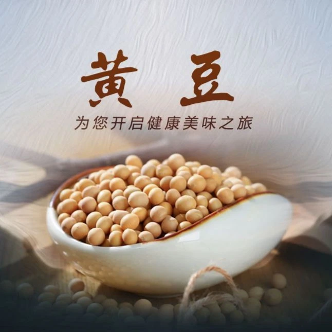 黄豆打豆浆发豆芽黄豆新黄豆子新鲜散装饱满低温颗粒营养食用
