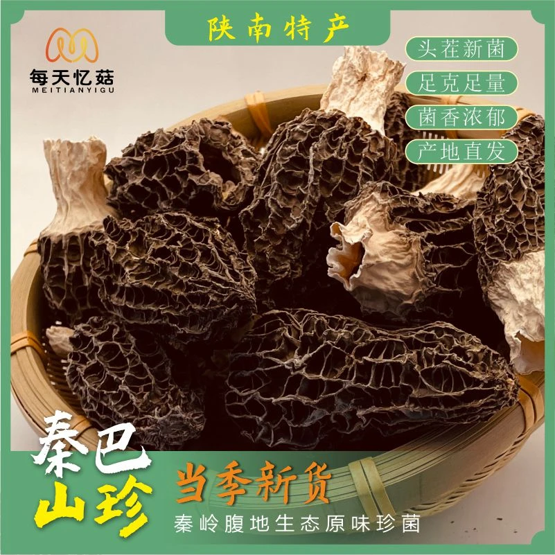 每天忆菇2025头茬羊肚菌（5-7公分）秦巴珍宝新品干货品质臻选