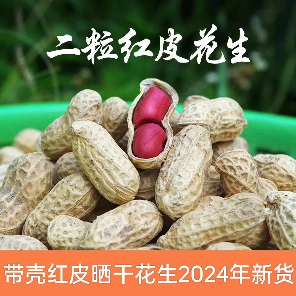 红皮花生2024年新货农家自种带壳红皮花生现拔 现发新鲜饱满食用