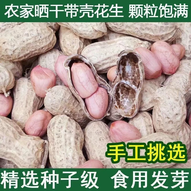 广西农家自种自晒粉皮两粒种可生吃花生粒粒饱满自然晒干健康直供