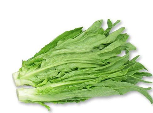 油麦菜 约500g /份
