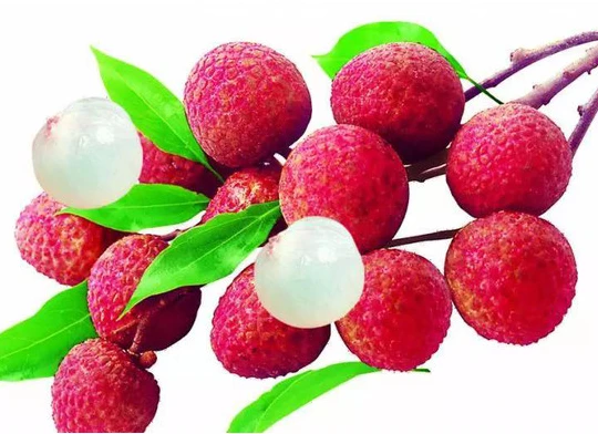 荔枝 约500克/份