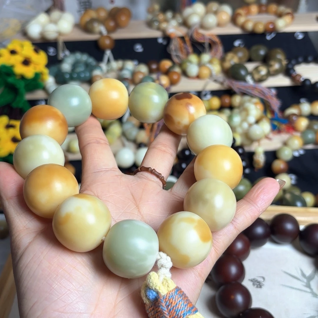 菩提根/象牙果手串