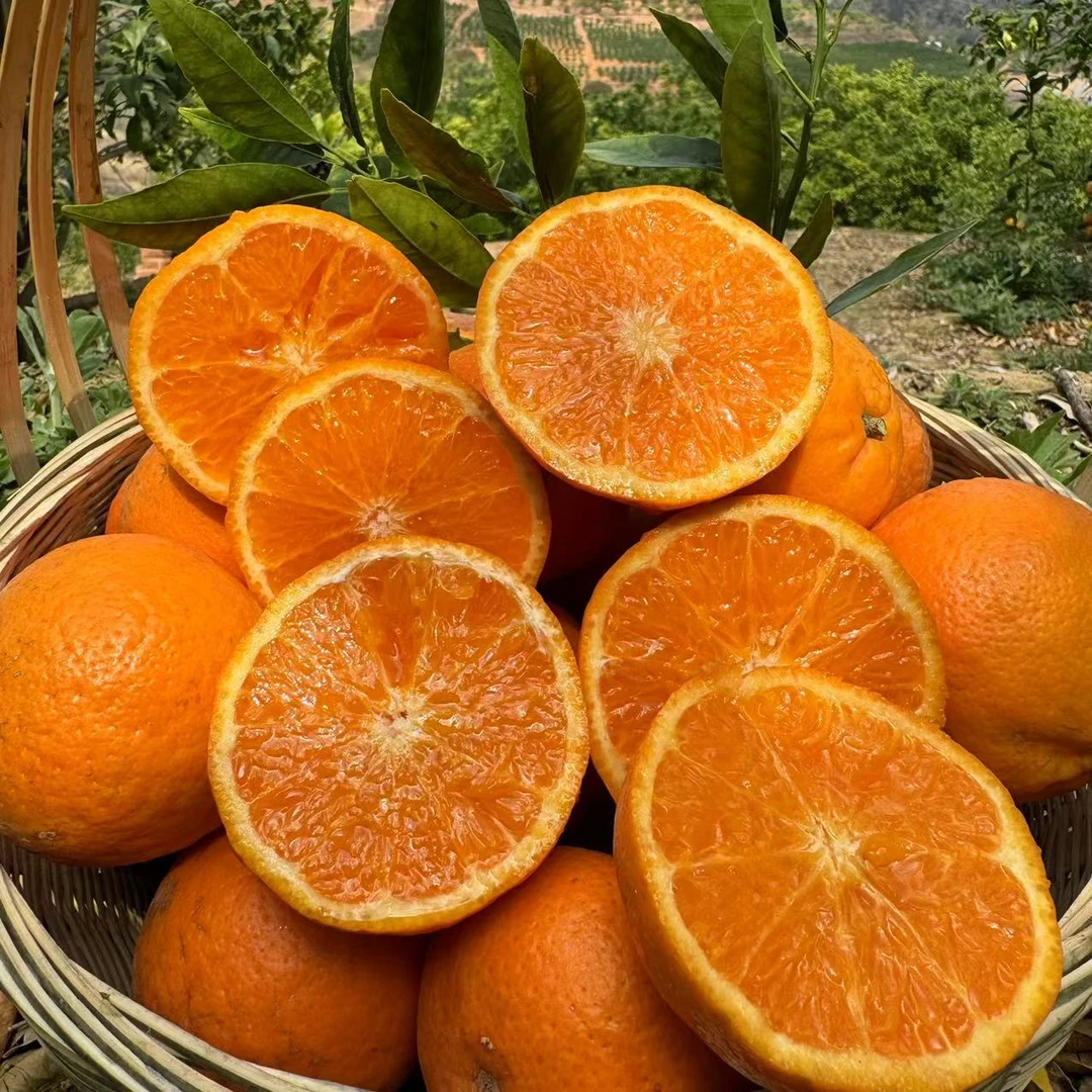 【淋大妈】云南高原沃柑（酸甜可口&现采现发）8斤装