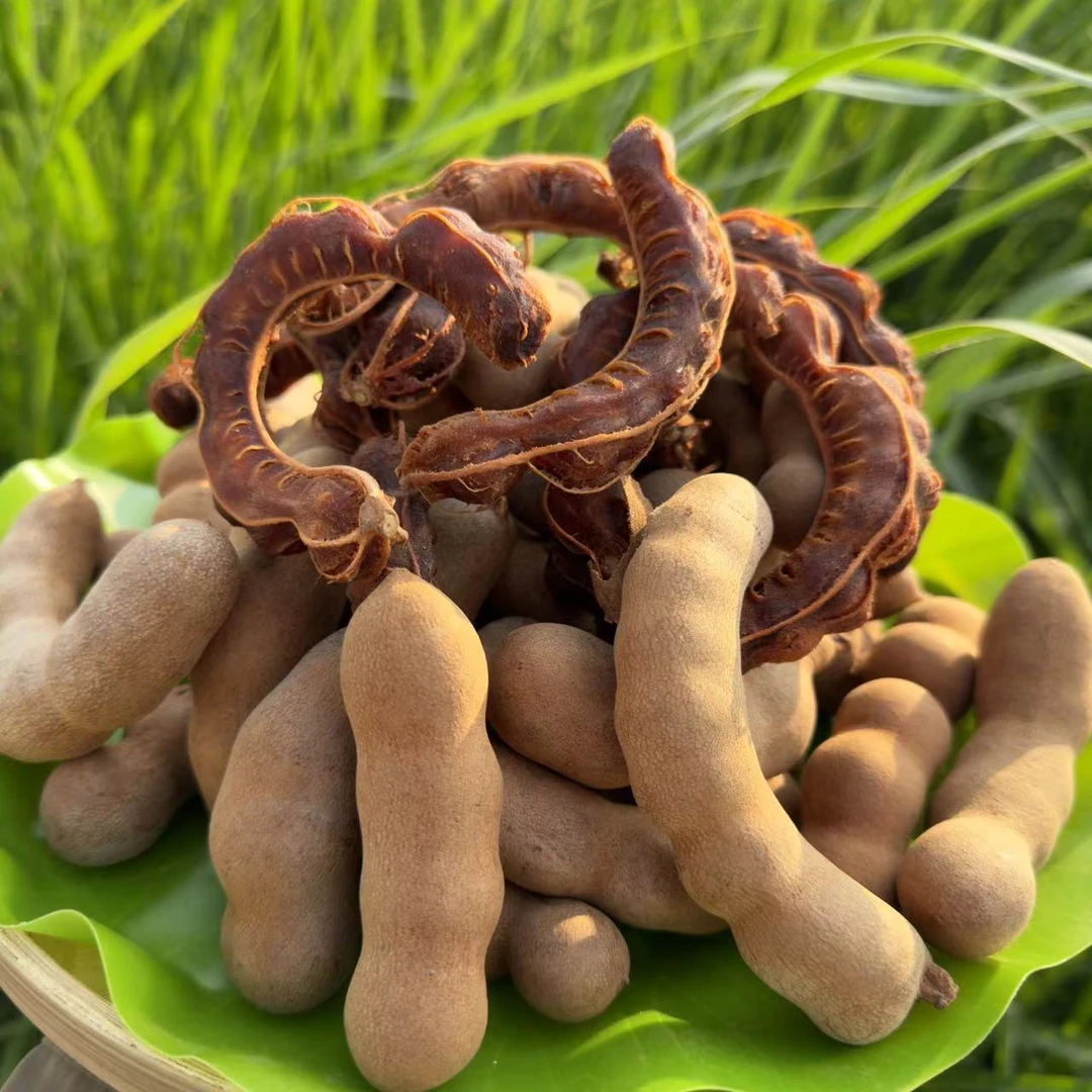 【淋大妈】云南西双版纳甜酸角（热带水果）半斤/1斤装