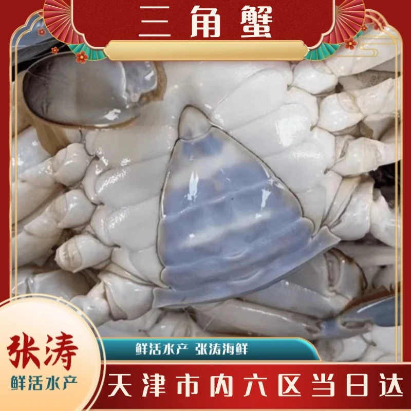 【保鲜不保活】天津三角蟹残蟹（每斤3-6只单只1.6-5两）当日达