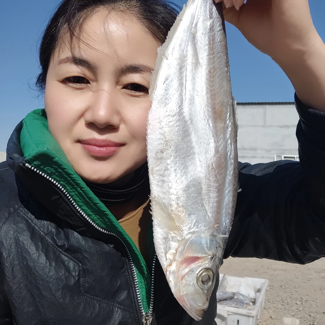 羊口小旭*咸香鱼 咸鳓鱼咸霉鳓鱼咸鱼干咸力鱼 臭香力鱼咸鱼鲞