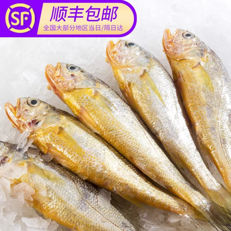 小旭水产*小黄花鱼新鲜海捕黄鱼深海野生鱼