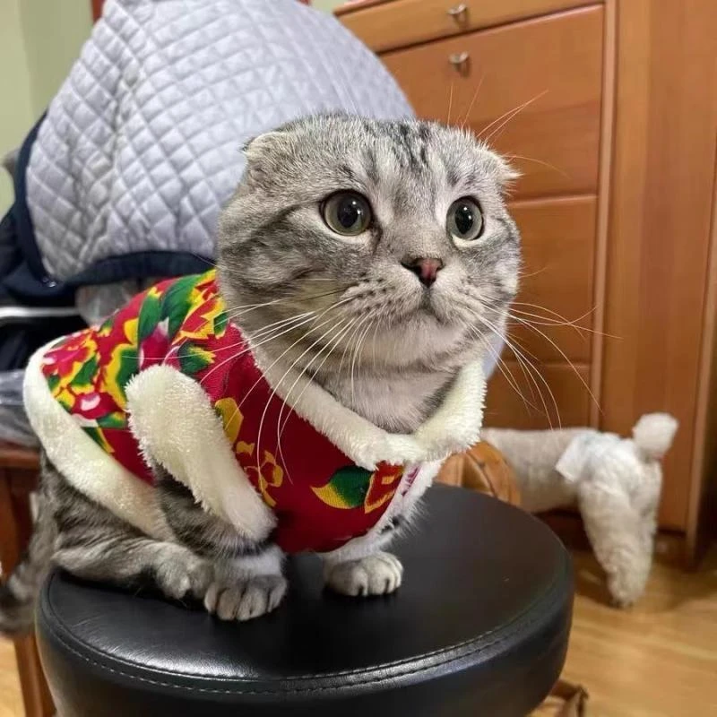 猫咪狗狗春冬季东北大花背心布偶幼猫英短防脱防掉毛宠物喜庆洋气