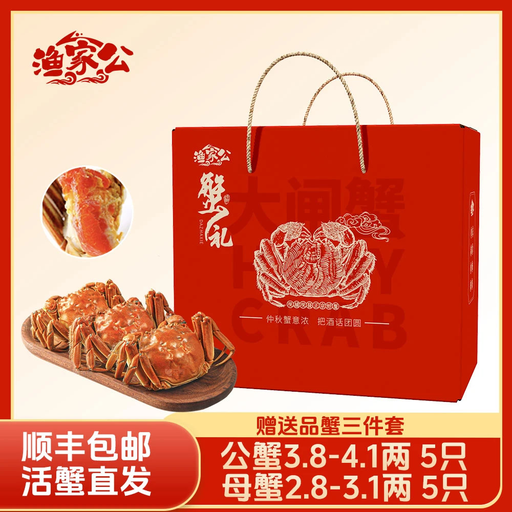 【活蟹】渔家公大闸蟹苏蟹公蟹4.1-3.8两母2.8-3.1两5对 共10只 T