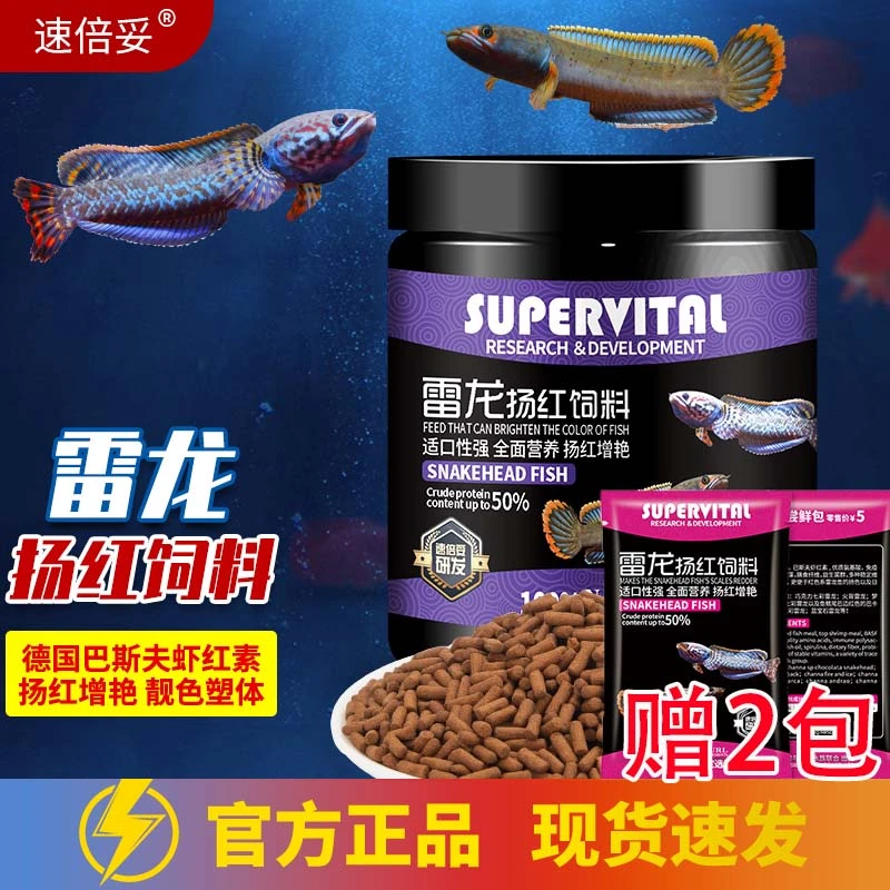 速倍妥雷龙鱼饲料扬红增艳靓色塑体高蛋白鱼粮上浮颗粒雷龙鱼鱼食