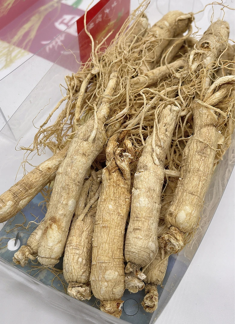 长白山人参煲红枣汤炖汤