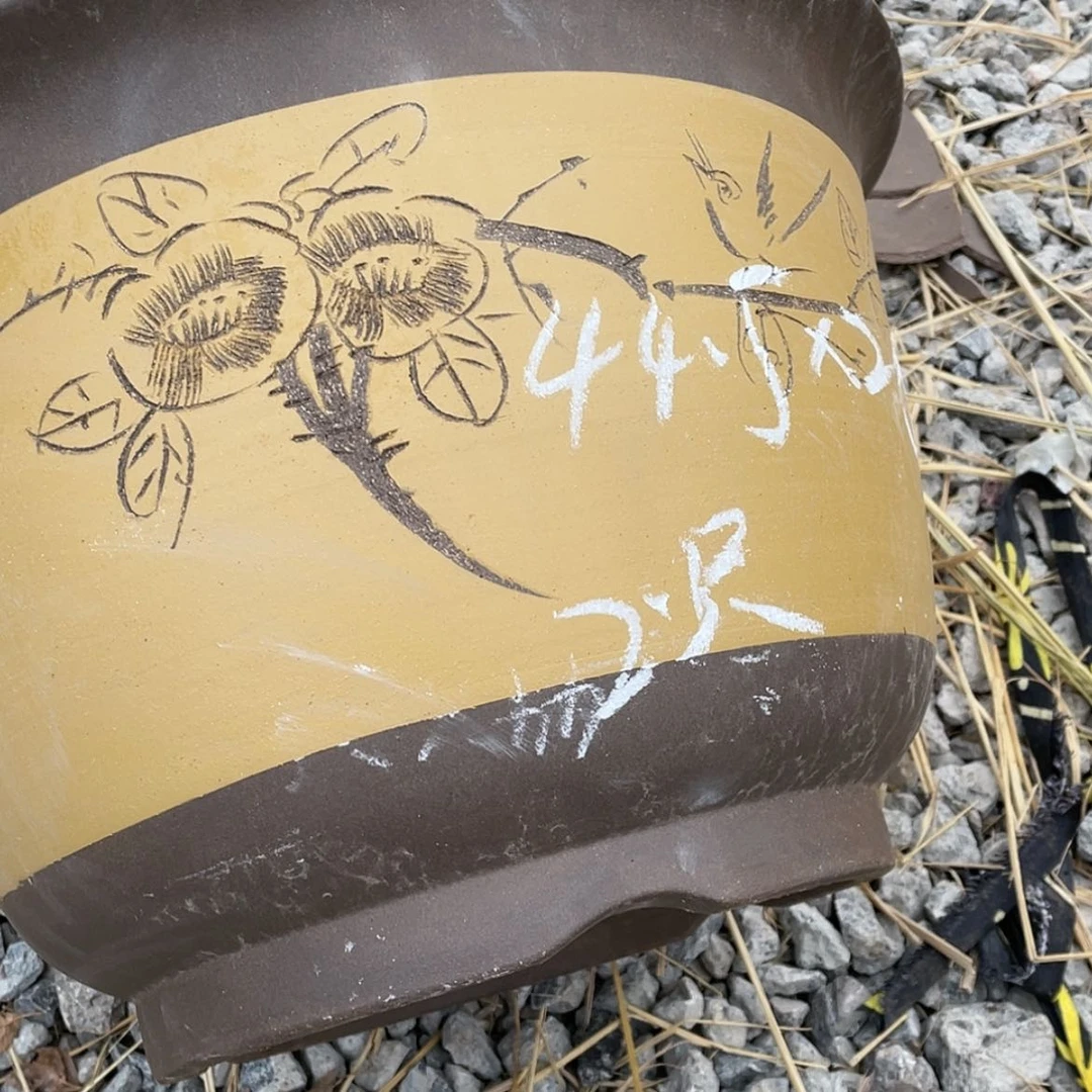 【闪购商品】紫砂171cm(含)-200cm(含)网****真紫砂一组下播福利