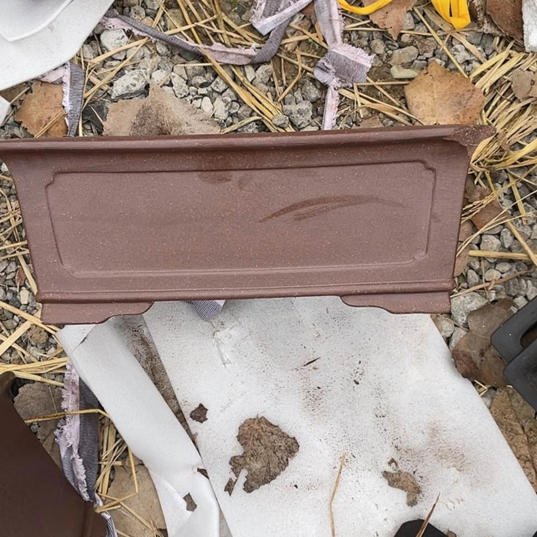 【闪购商品】紫砂171cm(含)-200cm(含)瑞**贸紫砂瑕一只