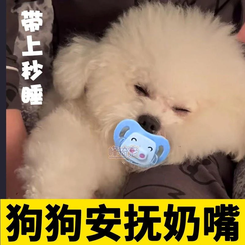 ++狗狗专用安抚奶嘴宠物玩具小狗磨牙解闷比熊幼犬仿生奶嘴生活用