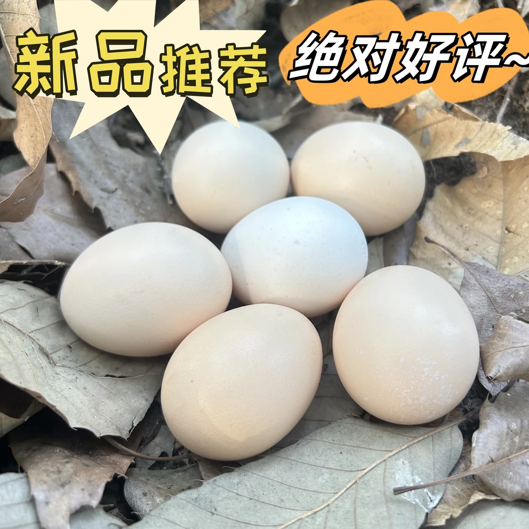 正宗散养鸡蛋新鲜土鸡蛋现捡现发营养喂养农产品土鸡蛋柴鸡蛋