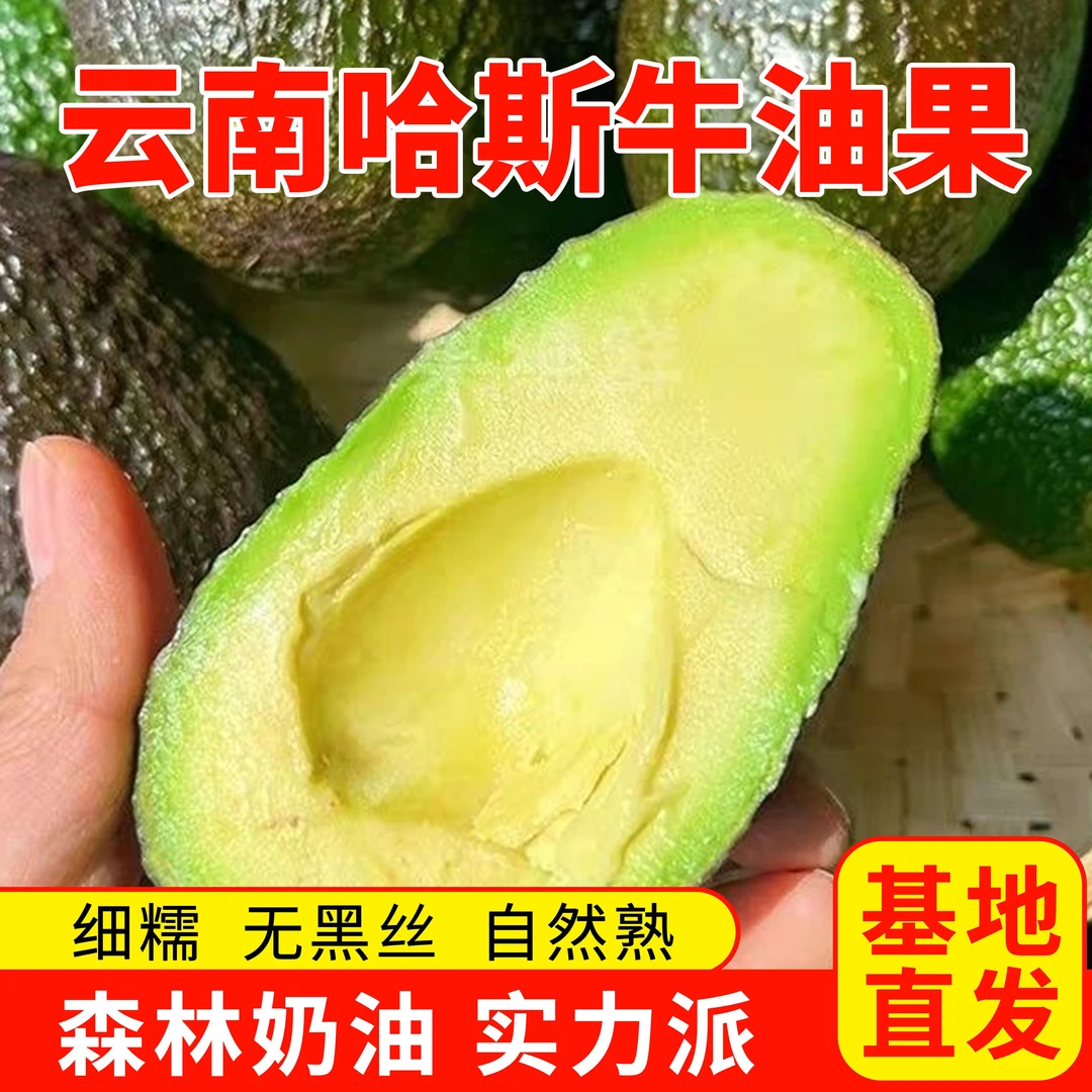 【到手8颗中果】云南基地新鲜采摘哈斯牛油果中果100-130g （超划算）