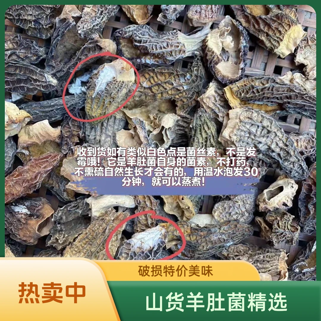 山货破损羊肚菌【精选】2