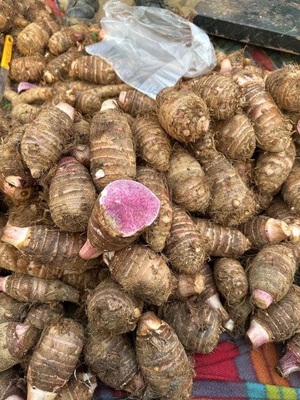 云南正宗新鲜香芋软糯紫藤芋