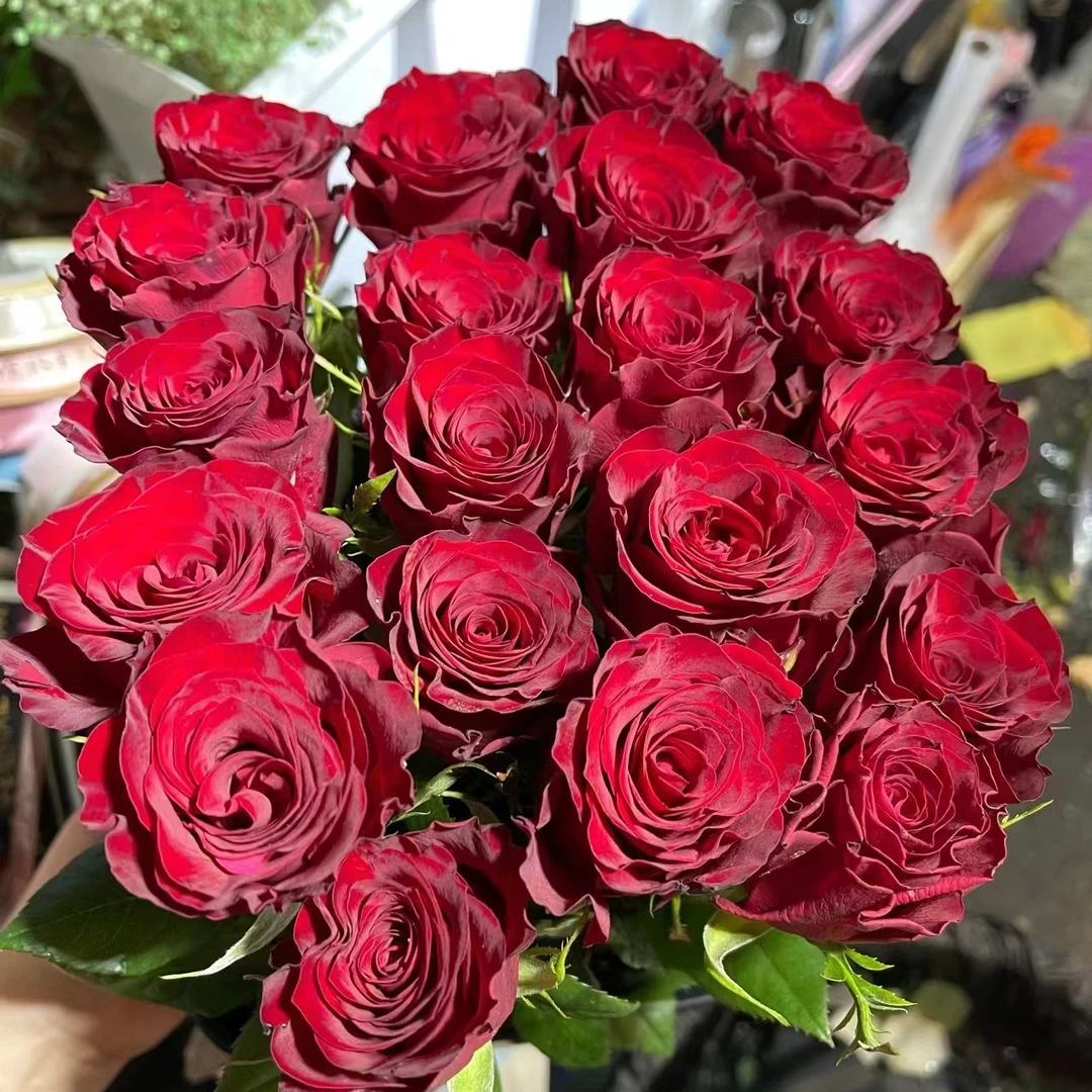 【高原红玫瑰10/20支+配草】零度以下请拍保温棉