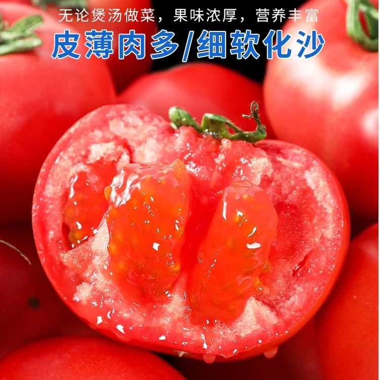 西红柿新鲜现摘普罗旺斯水果自然熟沙瓤番茄5斤生吃产地当季蔬菜