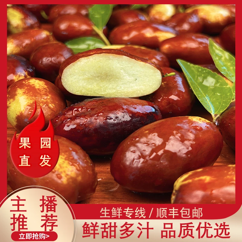 宁夏灵武长枣鲜枣3斤中小果/皮薄爽口肉厚新鲜顺丰包邮农家