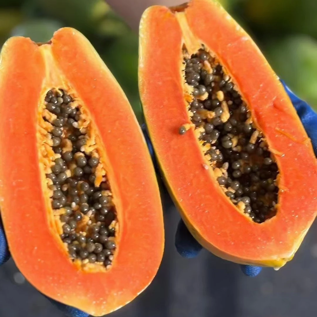 广西红心木瓜水果木瓜，现摘现发，生果青果发货，收到放熟再吃